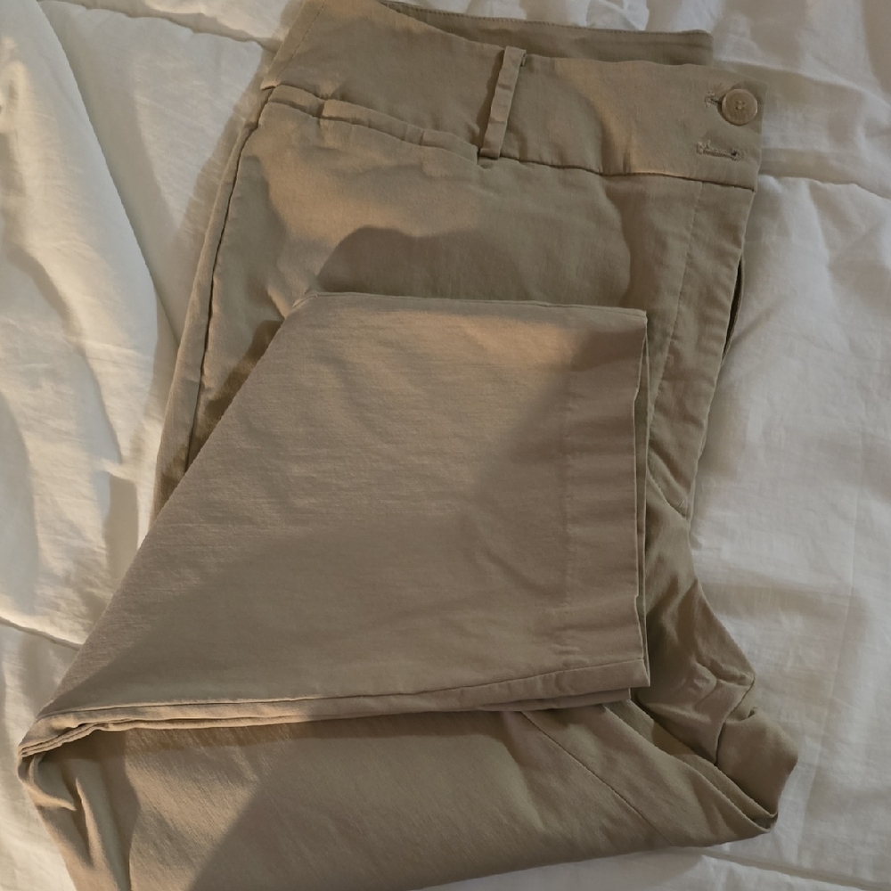 Lane Bryant Tan Trousers